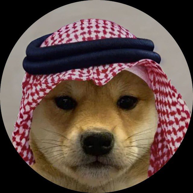 Dogwifsaudihat Price Prediction: WIFSA Plunges To All-Time Low As Experts Say Consider This Multi-Chain Doge Derivative For 10X Gains